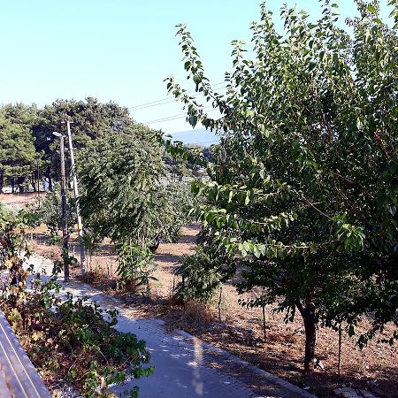 Can Efes Hotel Selcuk Eksteriør bilde